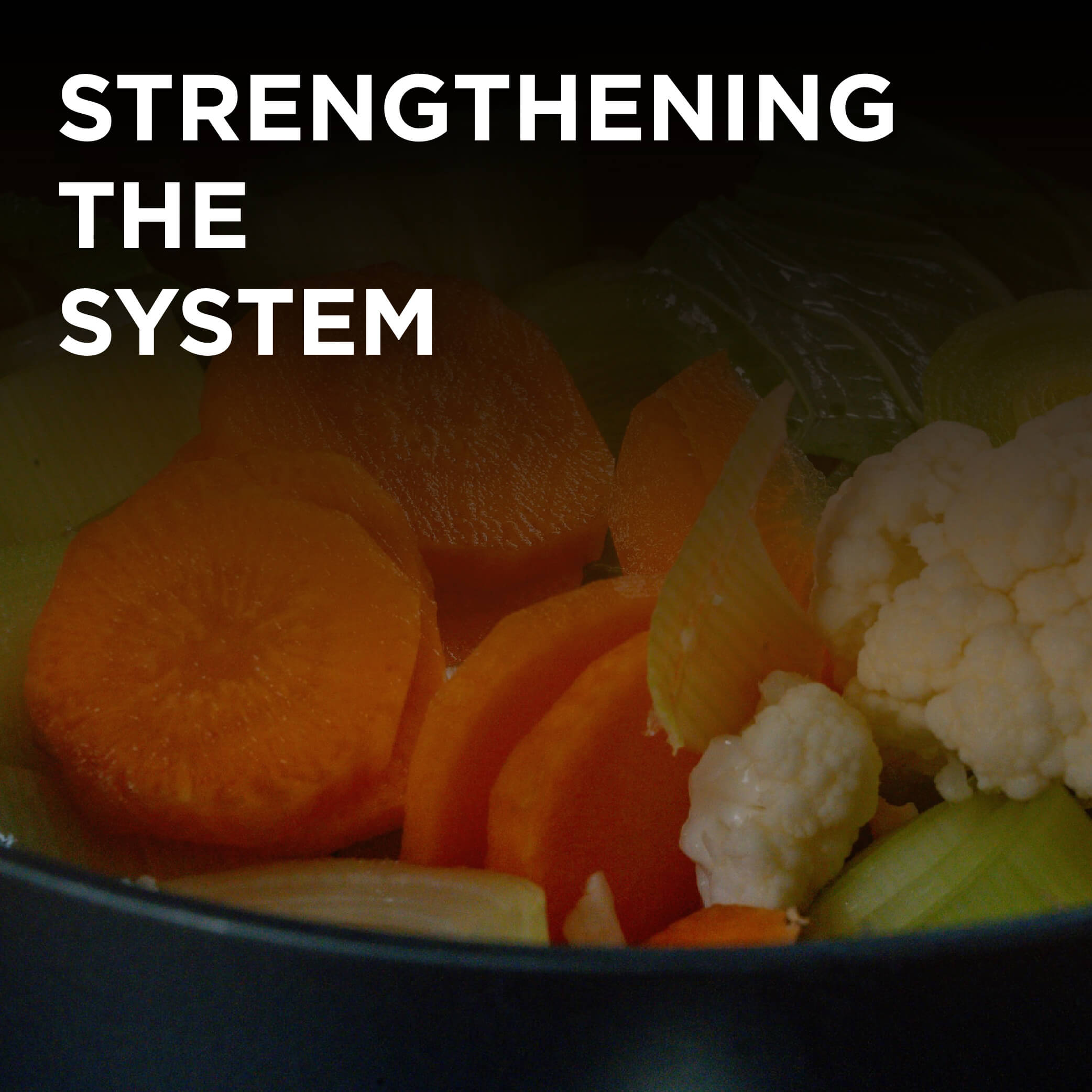 Strengthening the system