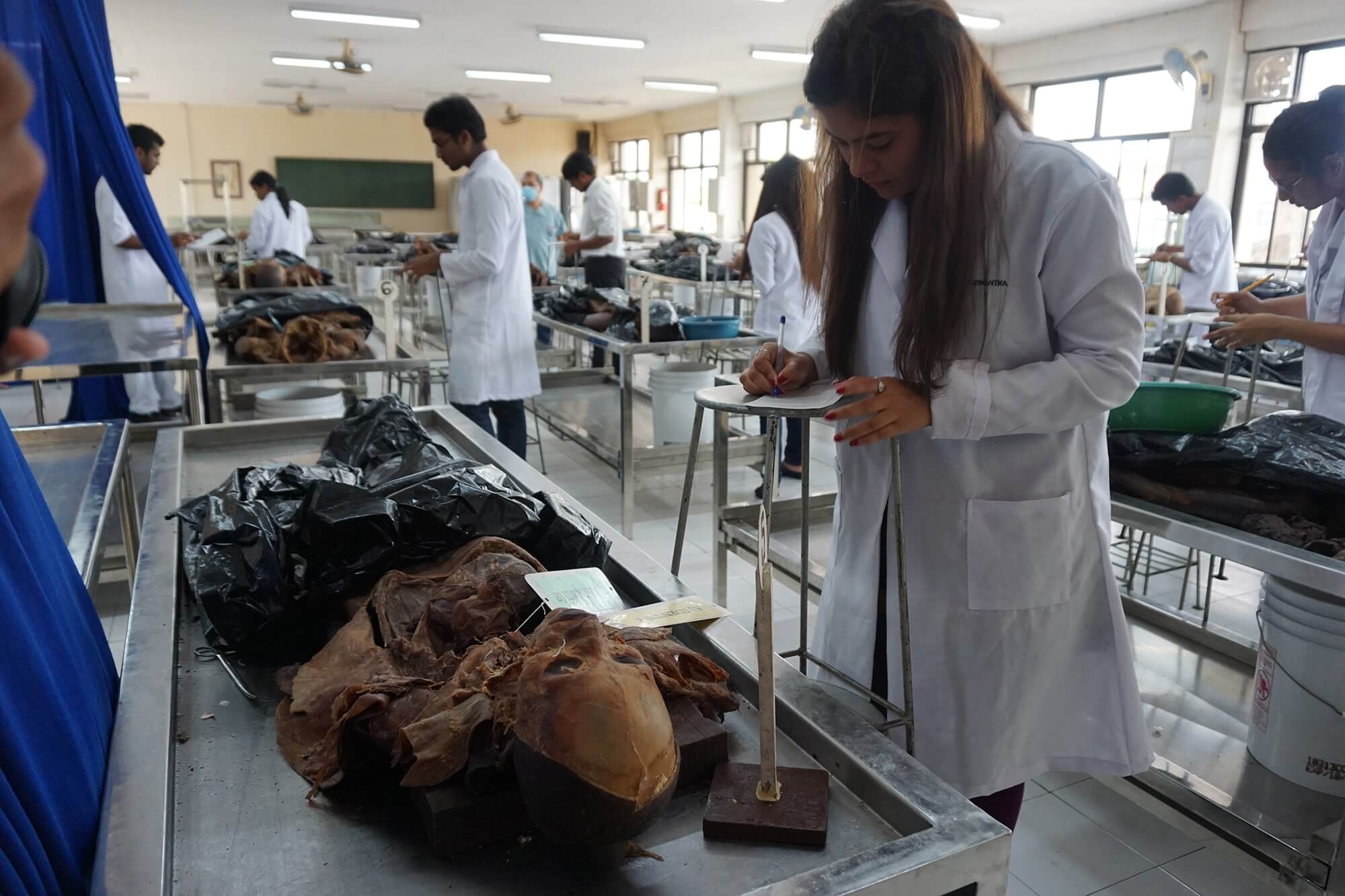 Over 50 cadavers to practice on